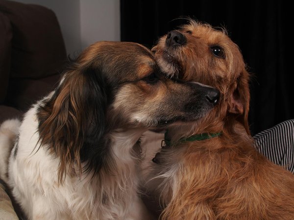 How Does British Women's Fashion Reflect Cultural Identity?