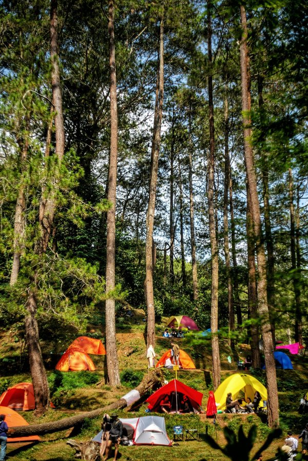 Uncover france's top naturist campsites for a unique getaway